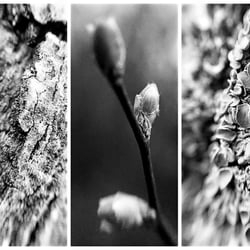 Natur-Miniaturwelten