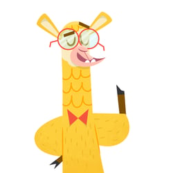 Lama Professor erklärt Koch-Grundregeln