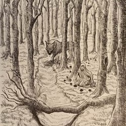 Little red riding hood illustration