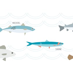 Illustrationen