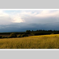 Fotografie-Natur