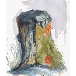 Baumwurzel 10 ×15 cm