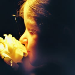 SMELL OF A ROSE
