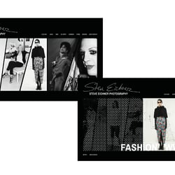 steve eichner – webdesign