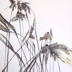 florale 1