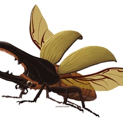 Insect Builder Spiel – Herkuleskäfer