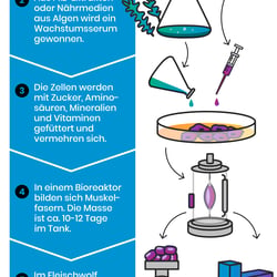 Fleisch aus dem Labor