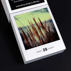 Poladarium 2015