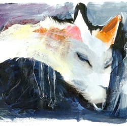 „Papierwolf“(freie Arbeit)