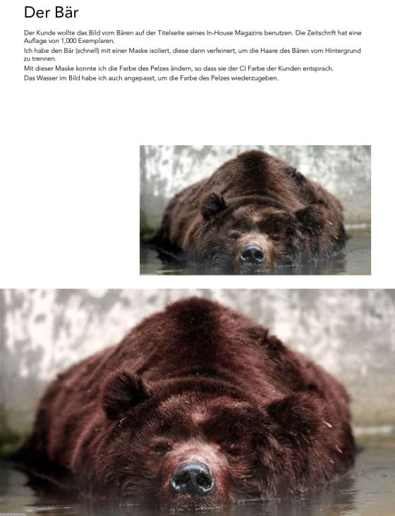 Der Bär