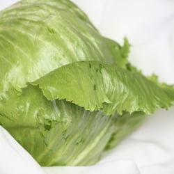 Eisbergsalat Nov. 2012
