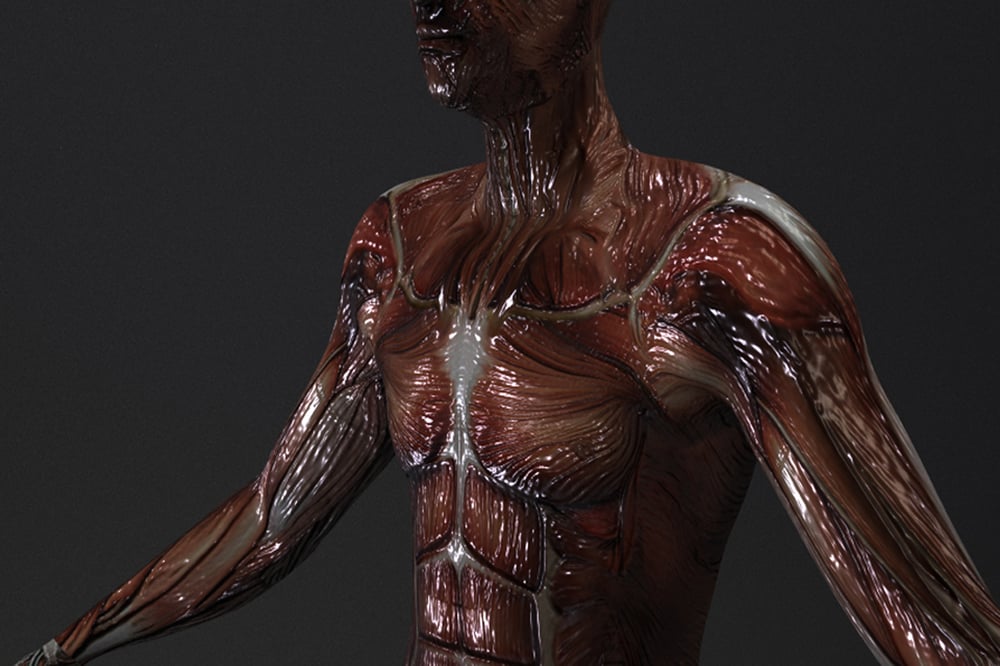 Plastinati