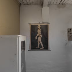 www.martinrohrmann.com