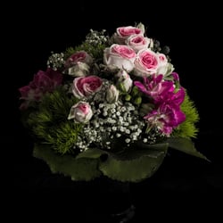 Floristik I