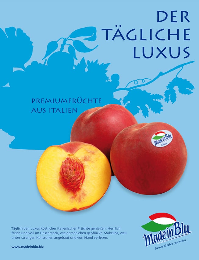 Entwurf Anzeigenlayout