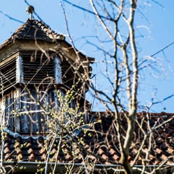 Verlassenes Haus