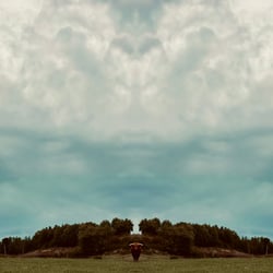 Spiegelbild