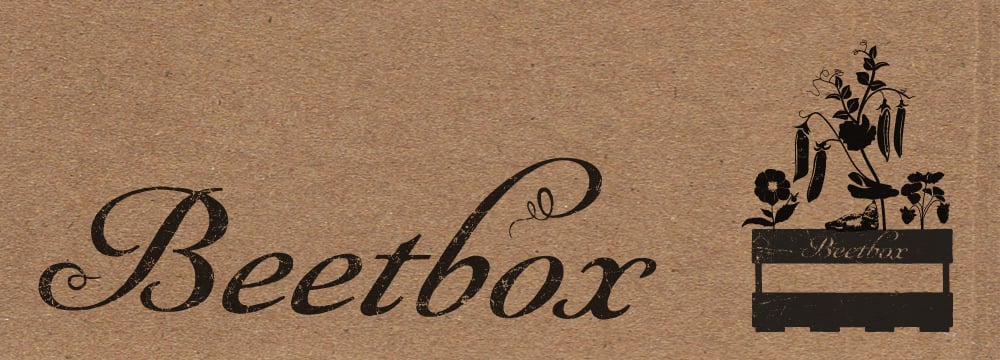 Logo Box