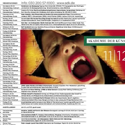 Programmflyer