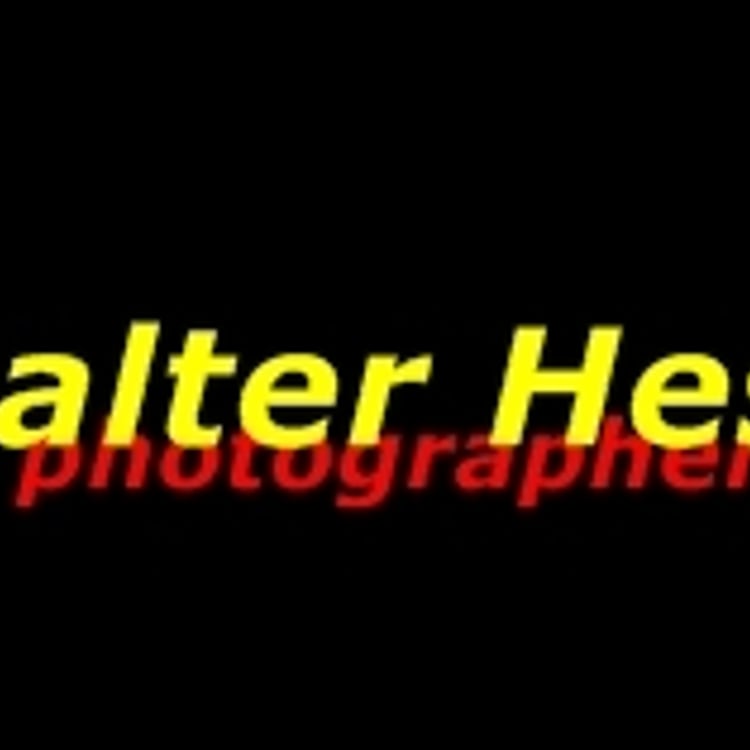 Walter Hess