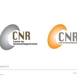 CNR Präsentation Logos wg 20090317 Seite 5