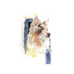 Shena Red Merle