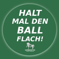 WERBEREITER WERBEAGENTUR HANNOVER – DEN BALL FLACHHALTEN