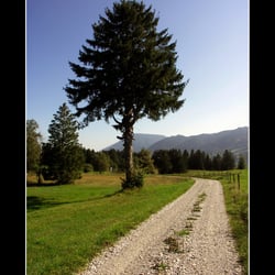 Schwangau-Hegratsried