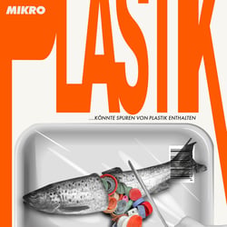 Portfolio Grafikdesign 2024