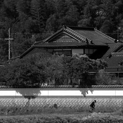 Fotografie – Reise und Reportage Japan