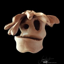 face130 web