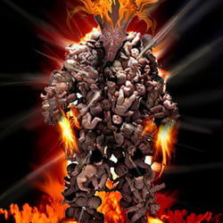 Charackterdesign