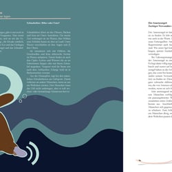 Abschlussarbeit: Sachbuch zum Thema Australien