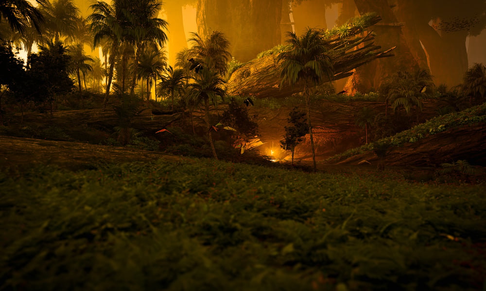 Old Forest