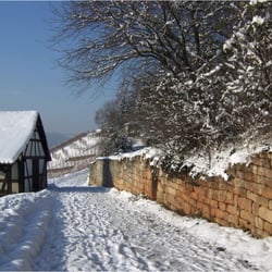 Winter am Neckarhaldenweg 0817k