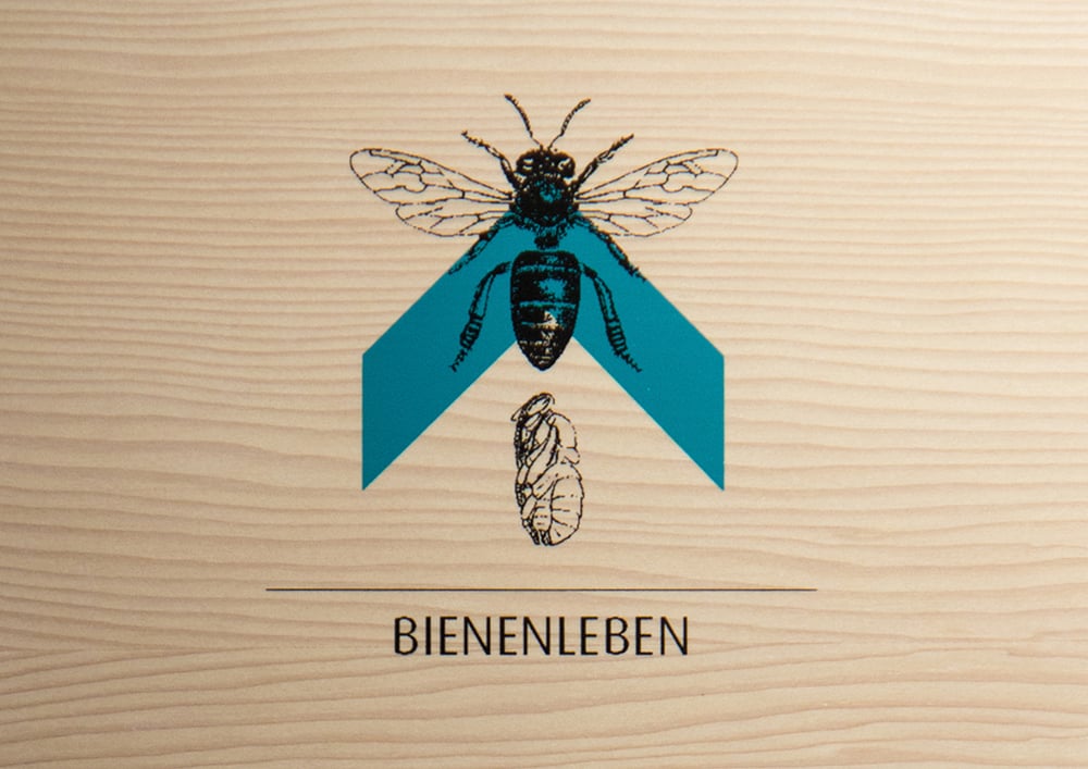 Bienenmuseum Illertissen