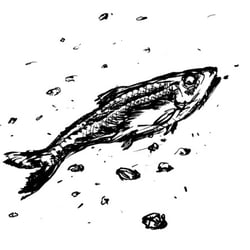 Entwurf für „Das Wrack“ in „Grauslichschöne Gruselgeschichten“ von Felix Scheinberger (HG)