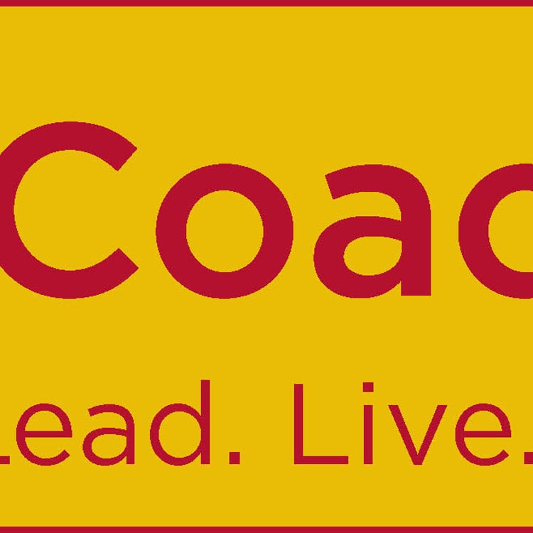 Business Coaching 3030