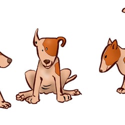 Hund