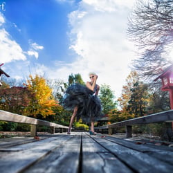 Hnegstin Chinese fall – tranche IV