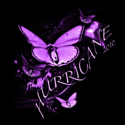 Motiv für das Hurricane Festival