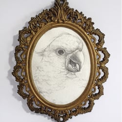 Cockatoo