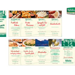 DIN lang Flyer im Leporellofalz