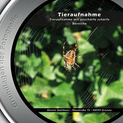 Fotografie Tiere