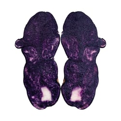 Potato * Vitelotte * Twin Cut
