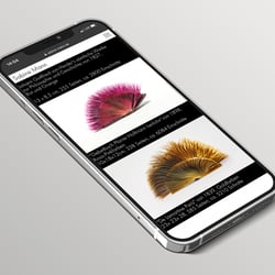 sabine mann mobile st