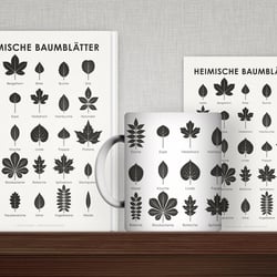 Schautafel Heimische Baumblätter