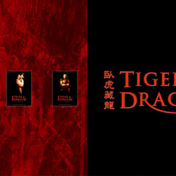 Tiger & Dragon Artwork