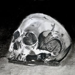„Skull“