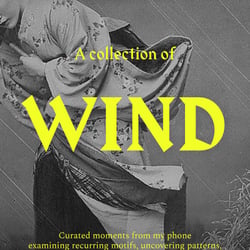 A collection of wind